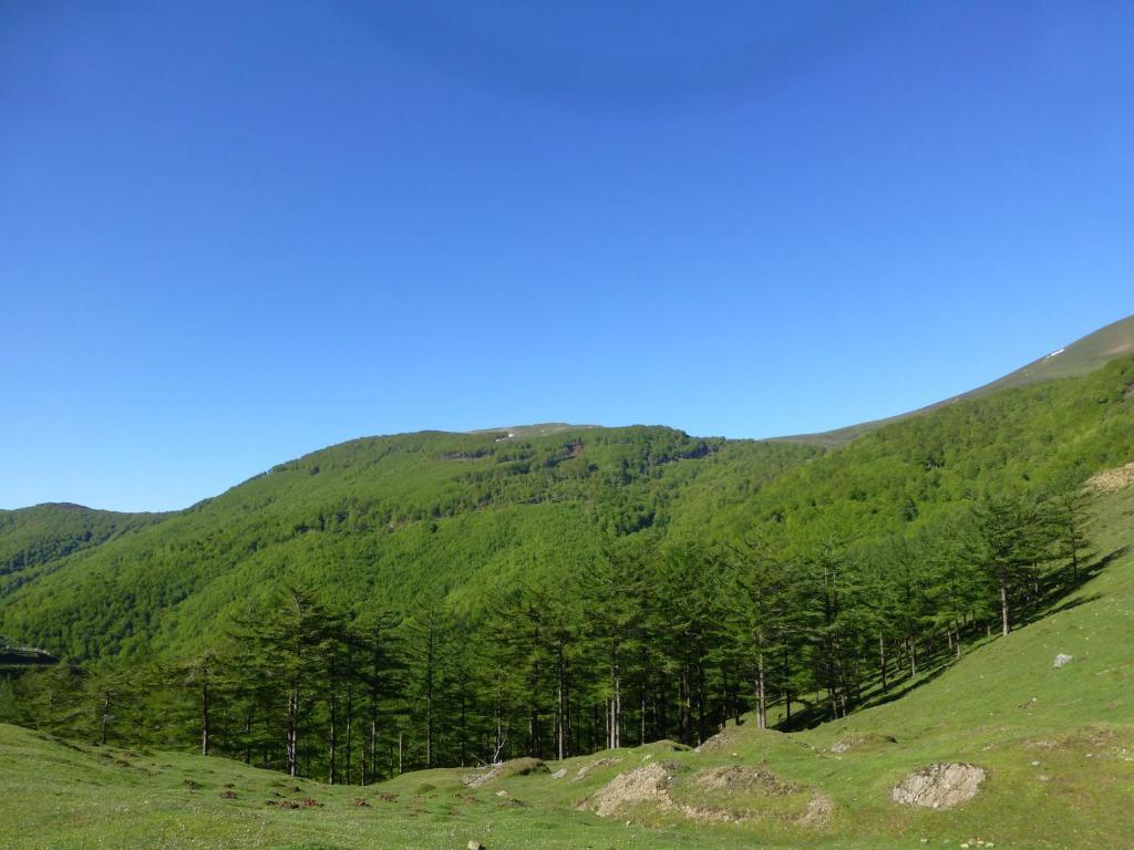 Hostal Rural Arrobi Borda Eugi ภายนอก รูปภาพ